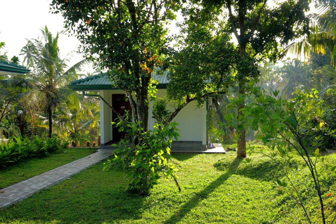 Hill View Resort Nakandalagoda Eksteriør billede